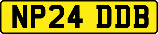 NP24DDB