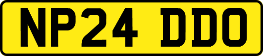 NP24DDO
