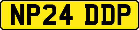 NP24DDP