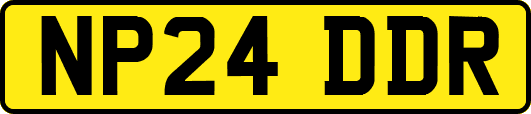 NP24DDR