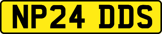 NP24DDS