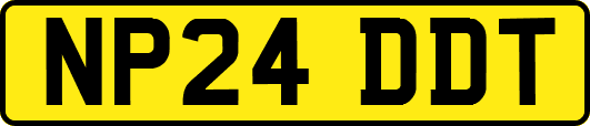 NP24DDT