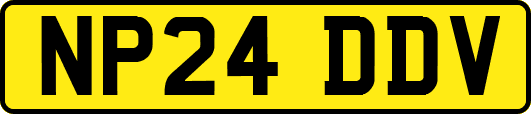 NP24DDV