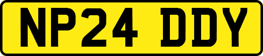 NP24DDY