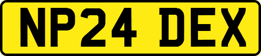 NP24DEX