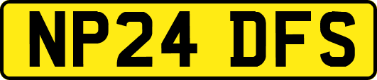 NP24DFS