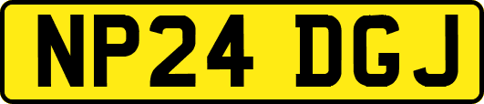 NP24DGJ