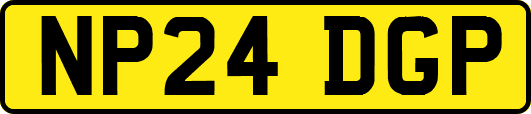 NP24DGP