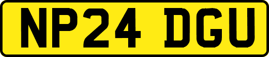 NP24DGU