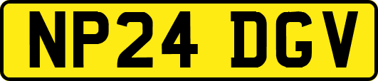 NP24DGV