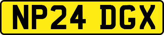 NP24DGX