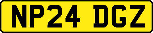 NP24DGZ