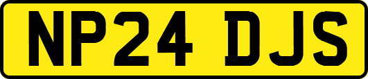 NP24DJS