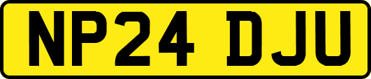 NP24DJU