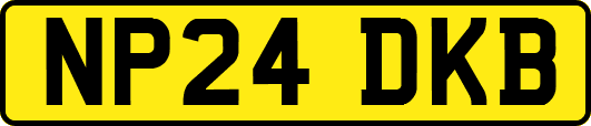 NP24DKB