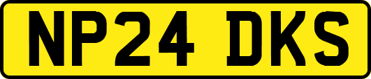 NP24DKS