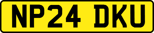 NP24DKU