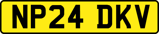 NP24DKV