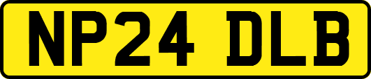 NP24DLB