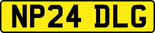 NP24DLG