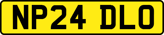 NP24DLO
