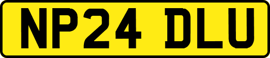 NP24DLU