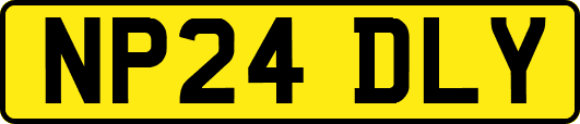 NP24DLY