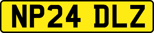 NP24DLZ