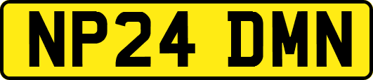NP24DMN