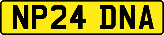 NP24DNA