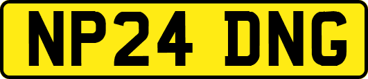 NP24DNG