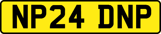 NP24DNP