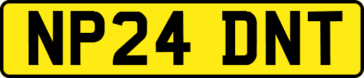 NP24DNT