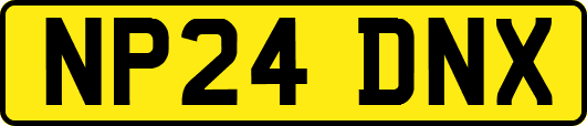 NP24DNX
