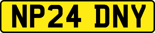 NP24DNY