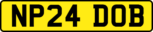 NP24DOB