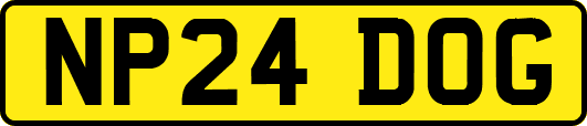 NP24DOG