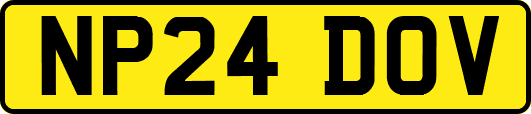 NP24DOV