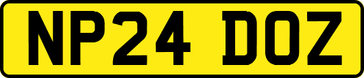 NP24DOZ