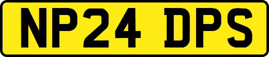 NP24DPS