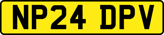 NP24DPV