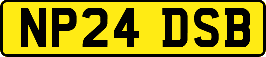 NP24DSB