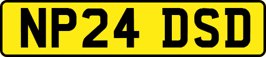 NP24DSD