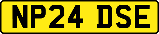NP24DSE