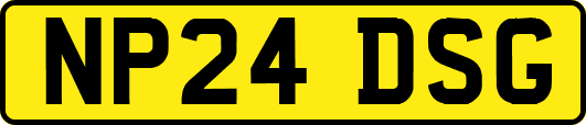 NP24DSG