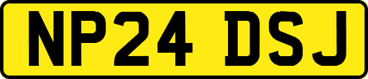 NP24DSJ