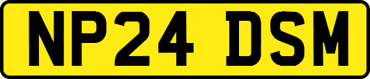 NP24DSM