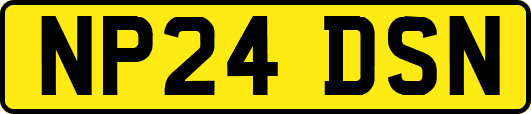 NP24DSN