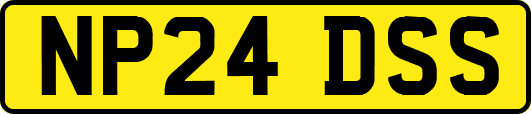 NP24DSS