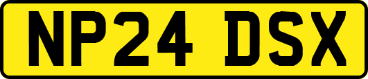 NP24DSX